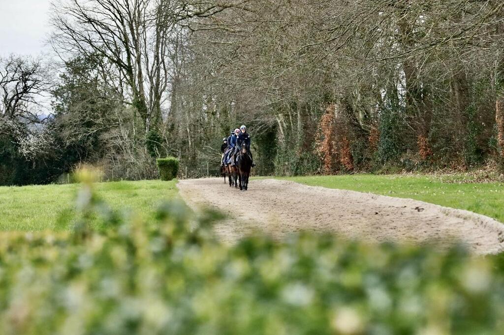 « L’école primaire des chevaux de course » : à Reux, Diane Lybeck a ...