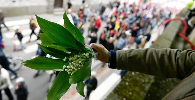 Vente de muguet ce mercredi 1er mai la préfecture de la Mayenne rappelle la réglementation