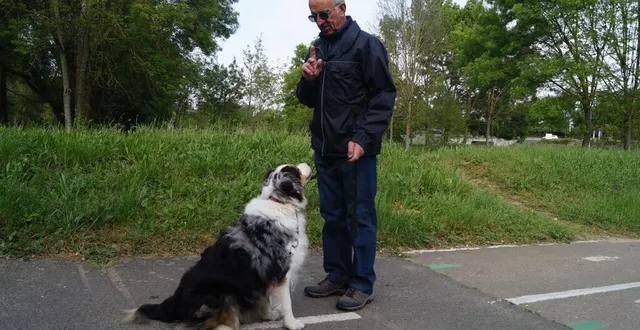 photo  la ville du mans est en bas du dernier classement de 30 millions d’avis sur les villes accueillantes pour les chiens.  &copy;  le maine libre 