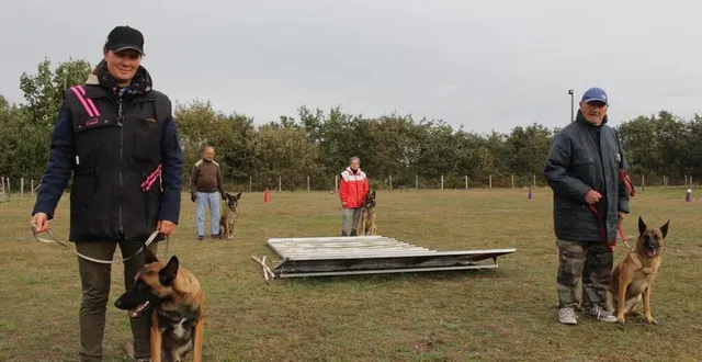 photo  l’association proposera des démonstrations de ring, d’obéissance et d’éducation.  &copy;  archives le maine libre 