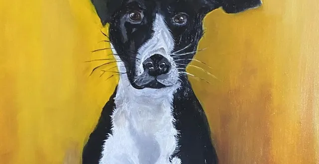 photo  les artistes, comme marie-noëlle leroi, sont invités à se faire connaître.  &copy;  le maine libre 