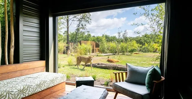 photo  les 32 hébergements du zoo de la flèche sont ouverts aux réservations pour l’année 2025.  &copy;  zoo de la flèche 