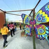 photo la galerie des papillons a ouvert ses portes le mercredi 1er mai au parc terra botanica.