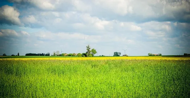 photo  air pays de la loire avait choisi marolles-les-braults, car la commune est le lieu de plusieurs cultures.  &copy;  le maine libre – yvon loué 