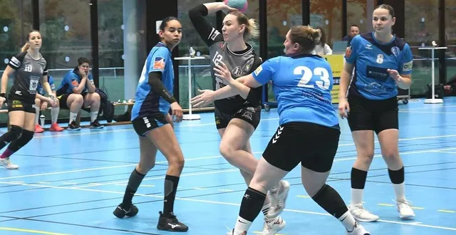 photo  l’entente sarthe, en gris, a stoppé la spirale négative.  &copy;  le maine libre 