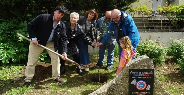 photo  espagnols et saint-vergeois ont planté un olivier apporté par les habitants d’hoyos.  &copy;  co 