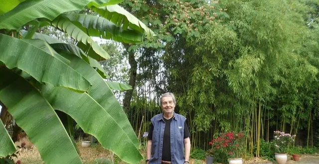 photo  laurent thibault, ici, sur le site enchanteur de la cabane bambou aux garennes-sur-loire (maine-et-loire), qu’il a acheté en 2019.  &copy;  ouest-france 