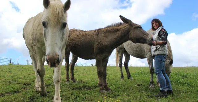 photo  beaupréau, la hérissière, mardi 7 mai 2024. propriétaire du gîte de la petite forêt avec son mari, myriam ruiz a vu dans la route d’artagnan une opportunité. celle de proposer l’accueil des cavaliers et de leurs chevaux.  &copy;  co – alexandre blaise 