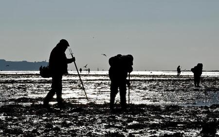 photo Les sauveteurs en mer appellent à la prudence lors des parties de pêches à pied pendant les grandes marées. Ouest-France 