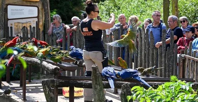photo  le parc zoologique a enregistré une fréquentation inédite sur une seule journée, jeudi 9 mai.  &copy;  archives co - lc 