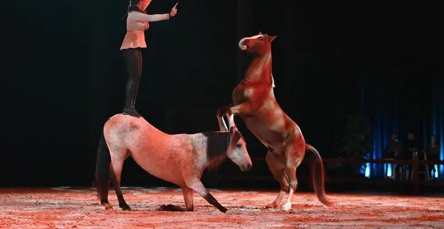 photo  le cheval sera particulièrement mis à l’honneur tout au long de la journée en lien avec la route européenne d’artagnan.  &copy;  les garennes 