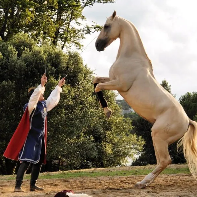 photo la compagnie arès animera le début de soirée avec un spectacle de cape et d’épée.  ©  ville de saumur – fred. p.