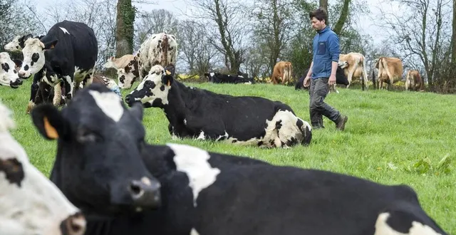 photo  l’association normande alterfixe aide à la transmission des fermes et à l’installation d’agriculteurs. ancien ingénieur, florian dereix s’est installé dans une exploitation laitière à la fresnaye-au-sauvage (orne).  &copy;  mathieu pattier / ouest france 