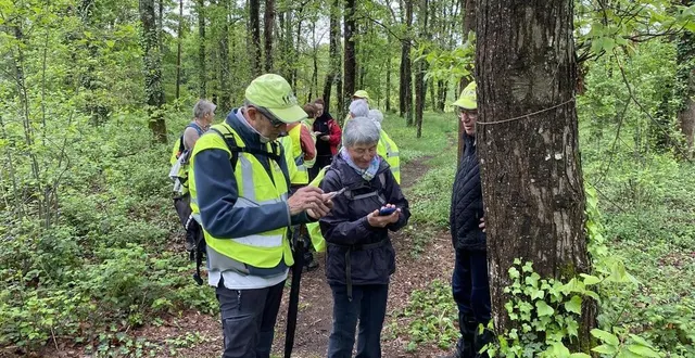 photo  une dizaine de marcheurs participent à la rando clim, à chaque changement de saison. les résultats de leurs observations sont transmis à l’aide d’une application.   &copy;  le maine libre 