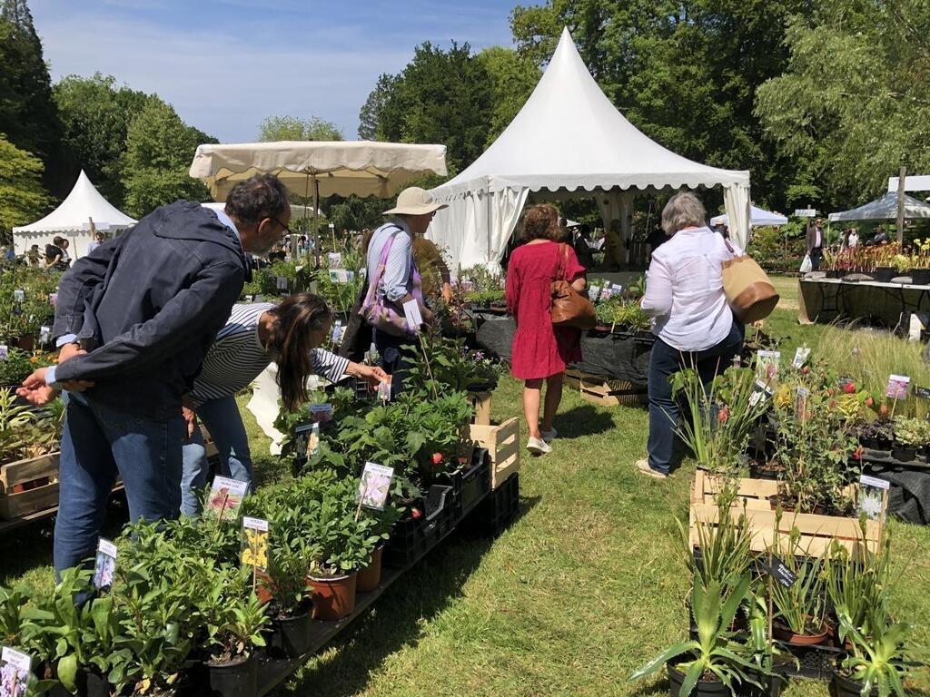 À Cherbourg Flâner à Presquîle En Fleurs Cest Découvrir Des Plantes Quon Ne Cherbourg