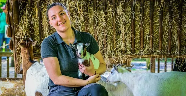 photo  les naissances se succèdent dans les parcs zoologiques ces dernières semaines.  &copy;  photo le maine libre - yvon loué 