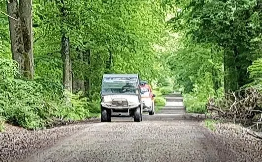 photo  des sapeurs-pompiers ont été engagés en pleine forêt ce mardi à bonnétable pour sauver un cheval tombé dans une tourbière.  &copy;  le maine libre 