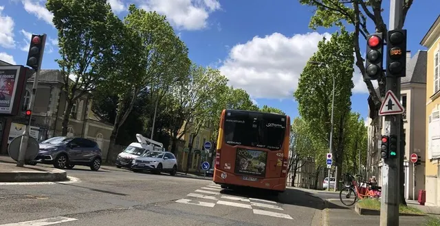 photo  les arbres de l’avenue bollée, au mans, qui vont être abattus dans le cadre du projet d’aménagement des chronolignes.  &copy;  archives ouest-france 