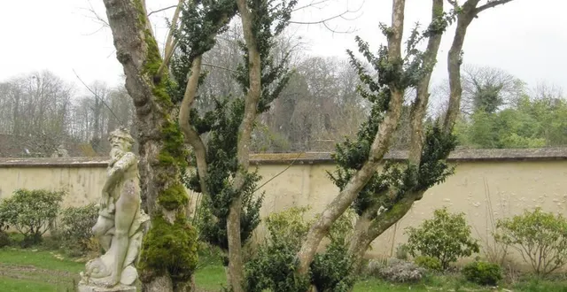photo  le jardin du chêne-vert servira de cadre pour les animations du week-end  &copy;  ouest-france 
