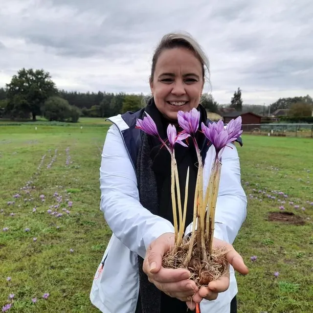 photo quatorze rendez-vous sont au programme en sarthe : expos, concerts, marchés de producteurs, visites, dégustations, randonnées… ici, stela pinto, productrice de safran à yvré-l’évêque.  ©  archives ouest-france
