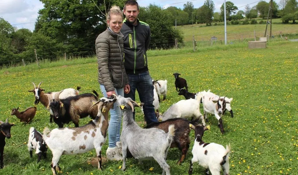 À SaintMartinleBouillant, la ferme de la Mare Pérot ouvre un parc