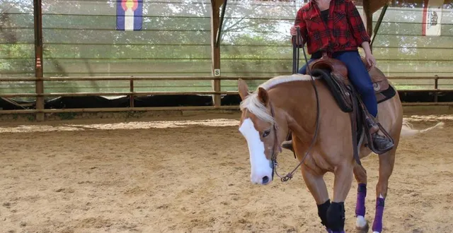 photo  marina khalidi à l’entraînement avec « goldie-gun », le 8 mai 2024.  &copy;  ouest-france 