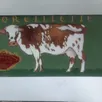 photo une maquette du projet de fresque d’oreillette, la vache normande originaire de briouze (orne), que l’artiste argentanais jean-françois sineux aimerait peindre à briouze.