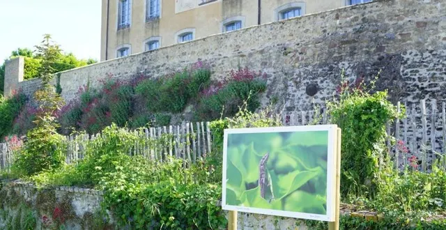 photo  jusqu’au 25 septembre, la municipalité propose l’exposition photos « les balades d’yvan juhel », photographe amateur passionné de la flore et de la faune locale. les panneaux sont visibles à travers un parcours sur différents sites de la commune. ce dernier débute à l’espace raymond-stouff par le sentier de randonnées jusqu’aux jardins d’inspiration médiéval et la cour de la mairie.  &copy;  ouest-france 