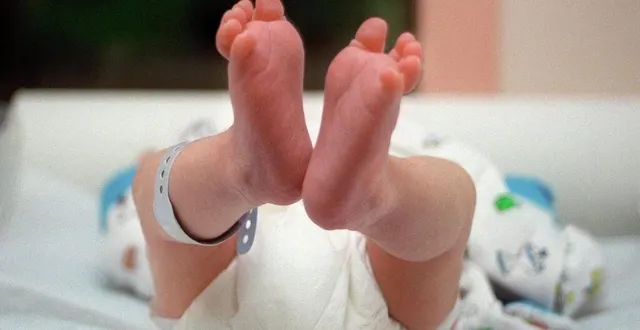 photo  un nouveau-né vivant a été retrouvé dans un conteneur, par un passant allant déposer ses déchets, à beaumont-sur-sarthe, jeudi 23 mai 2024. depuis, sa maman a été identifiée.  &copy;  archives ouest-france 