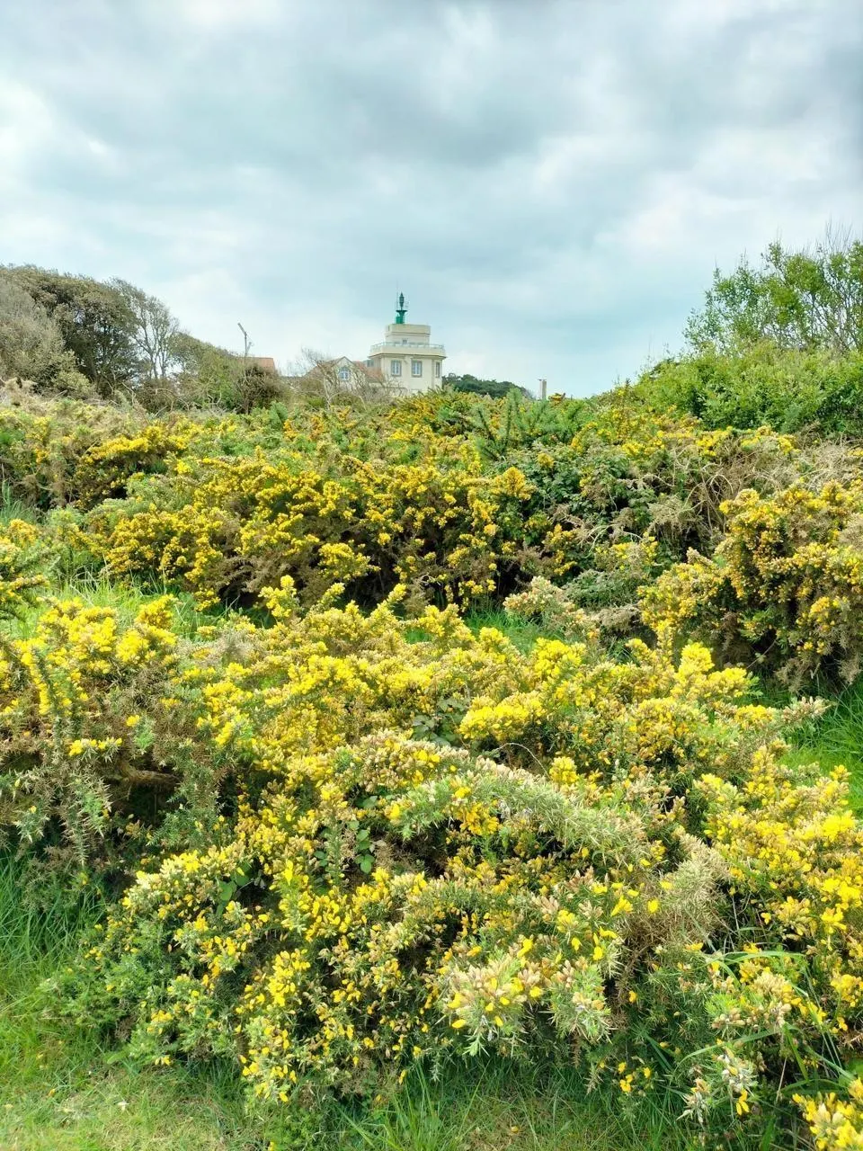 La Réserve naturelle de la pointe SaintGildas fête ses 10 ans ce
