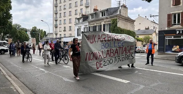 photo  une cinquantaine d’opposants à l’abattage de 200 érables avenue bollée, au mans (sarthe), ont défilé ce samedi 25 mai 2024.  &copy;  ouest-france 