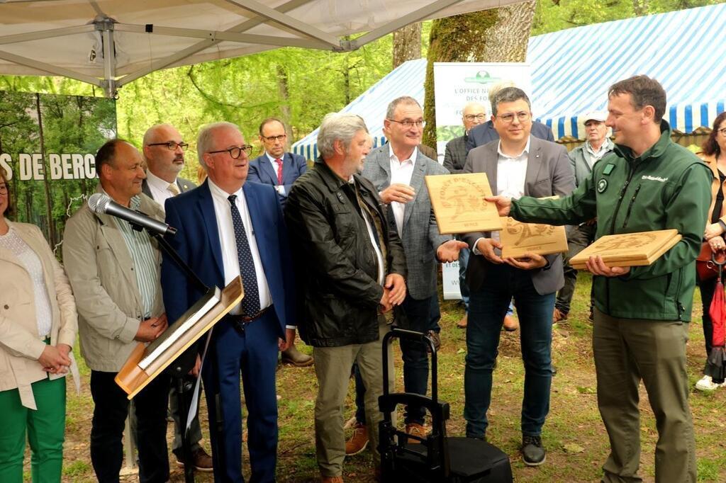 Forêt D’exception : Bercé à Nouveau Labellisée . Sport - Le Mans ...