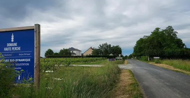photo  le hameau de haute-perche est placé sur les hauteurs à proximité de murs-érigné, avec une visibilité sur l’agglomération angevine, il y a 80 ans, meilleure qu’aujourd’hui.  &copy;  ouest-france 