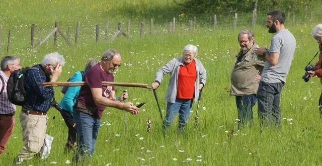 photo  samedi, en début de matinée, une dizaine de promeneurs s’était donné rendez-vous à l’office du tourisme pour découvrir les orchidées sauvages. le groupe s’est rendu au coteau des buttes, zone naturelle protégée, pour assister à la dernière floraison des fleurs rares sous nos latitudes.  &copy;  ouest-france 