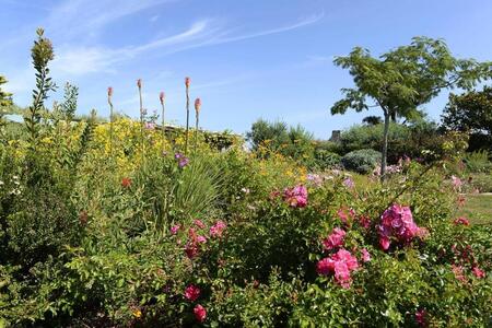 photo De nombreux jardins privés ouvrent leurs portes pour les Rendez-vous aux jardins (photo d’illustration). Thierry Creux / Archives Ouest-France 