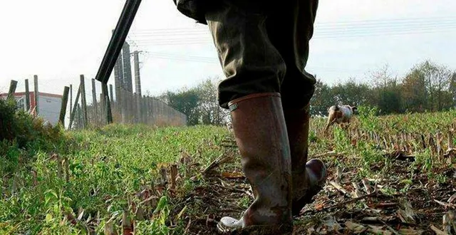 photo  l’accident a eu lieu lors d’une battue aux sangliers, à ferrières-la-verrerie, le 27 décembre 2023.  &copy;  archives ouest-france 