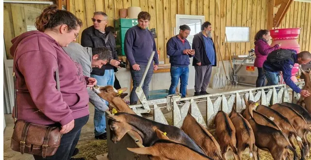 photo  les participants sont entrés en contact direct avec les chèvres.  &copy;  ouest-france 