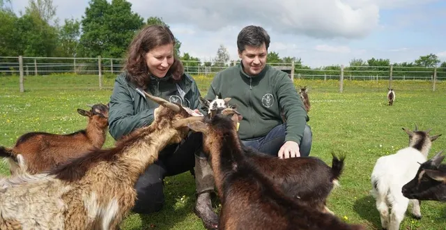 photo  marion daguené et fabien arnaud, les propriétaires d’il était une ferme à saint-georges-sur-loire dans l’enclos aux chèvres.  &copy;  ouest-france 