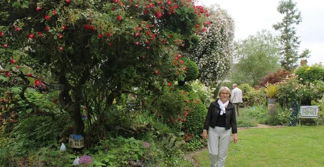 photo  les « cinq sens » était le thème de cette année des rendez-vous aux jardins. ici avec « la vue », les visiteurs ont bien observé la diversité des 140 variétés de rosiers.  &copy;  ouest-france 