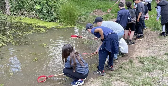 photo  les élèves de 6e étaient répartis en groupe pour faire différents ateliers comme de la pêche pour identifier des insectes.  &copy;  ouest-france 