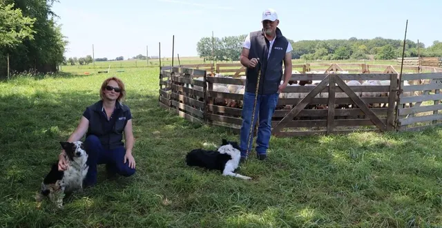 photo  ?blandine elie et emmanuel hoarau, de l’association des utilisateurs de chiens de troupeau 72, avec leur fidèle compagnon respectif, taïga et reina.  &copy;  ouest-france 