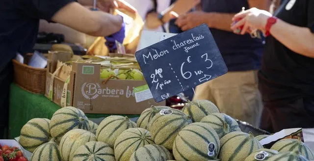 photo  des melons charentais vendus par leclerc et métro font l’objet d’un rappel, car ils dépassent le seuil autorisé de pesticides. photo d’illustration.  photo vincent michel / ouest-france  &copy;  vincent michel / ouest-france 
