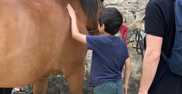 photo  pour augustin, c’est le moment de la rencontre avec l’animal.  &copy;  le maine libre 