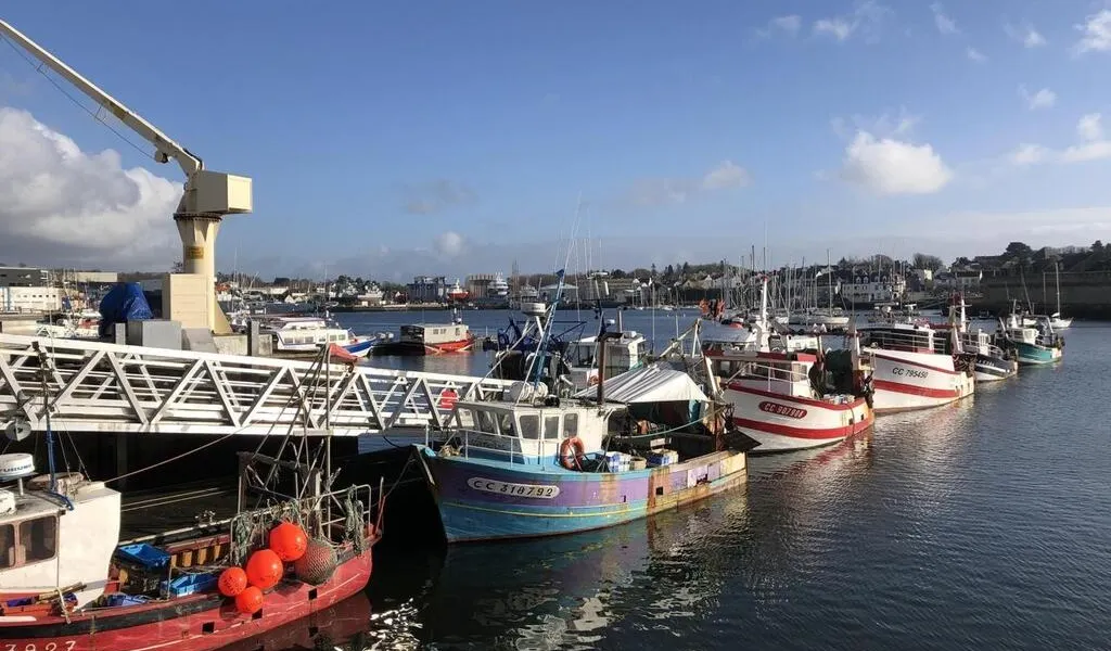 Figurine SMISKI Daydreaming édition Limitée 2024 - Figurine Tactile Lumineuse Collector Japon