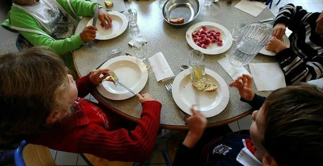 photo  les tarifs du périscolaire vont augmenter à la rentrée : les repas passent à 4,20 € et la demi-heure de garderie, à 0,95 €.  &copy;  archives ouest-france/franck dubray 