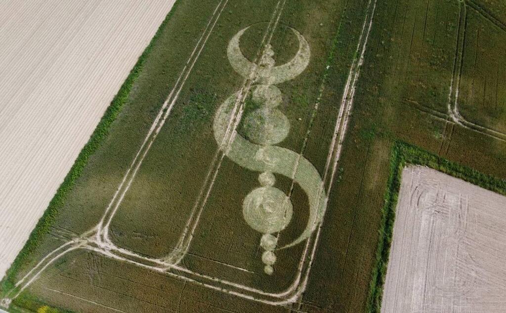 Des cercles de culture géants, les crop circles, apparaissent dans un champ dans la Manche