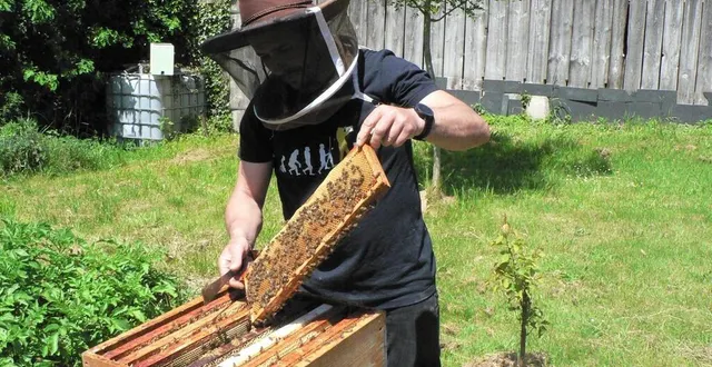 photo  après la récolte de printemps, cyril prélèvera à nouveau du miel en août. « après, je les laisse se constituer leur réserve pour l’hiver. »  &copy;  ouest-france 