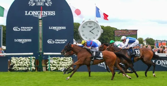 photo  sparkling plenty lors de sa victoire, dimanche 16 juin 2024, dans le prix de diane avec tony piccone.  &copy;  france galop 