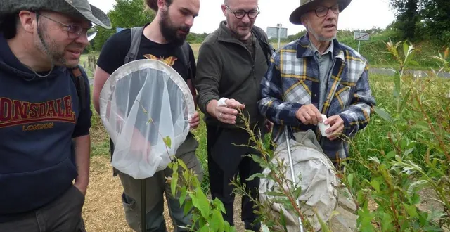 photo  samedi 15 juin 2024, des spécialistes des insectes se sont retrouvés dans la réserve naturelle des marais de cré-sur-loir, près de la flèche (sarthe) pour y mener une action de prospection entomologique.  &copy;  ouest-france 