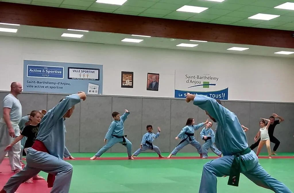 SaintBarthélemyd'Anjou. Le club d’art martial vietnamien s’ouvre au